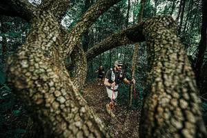 BIB: 
                            <button type="button" onclick="openModal(25394004)" class="btn btn-primary btn-sm float-right btn-popup" data-toggle="modal" data-target=".modal-high-quality">
                        <i class="fas fa-shopping-cart"></i> Add to Cart
                    </button>
                                            <button type="button" onclick="isThisMe(25394004, true)" class="btn btn-success btn-sm float-right btn-popup btn-isme hidden" data-toggle="tooltip" data-placement="bottom" title="นี่คือรูปของคุณใช่ไหม คลิกที่นี่เพื่อเอาเข้าอัลบั้ม">
                        <i class="fas fa-plus"></i> Add to album
                    </button>
                    <button type="button" onclick="isThisMe(25394004, false)" class="btn btn-warning btn-sm float-right btn-popup btn-isnotme hidden">
                        <i class="fas fa-ban"></i> Remove from album
                    </button>